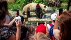 Related article image