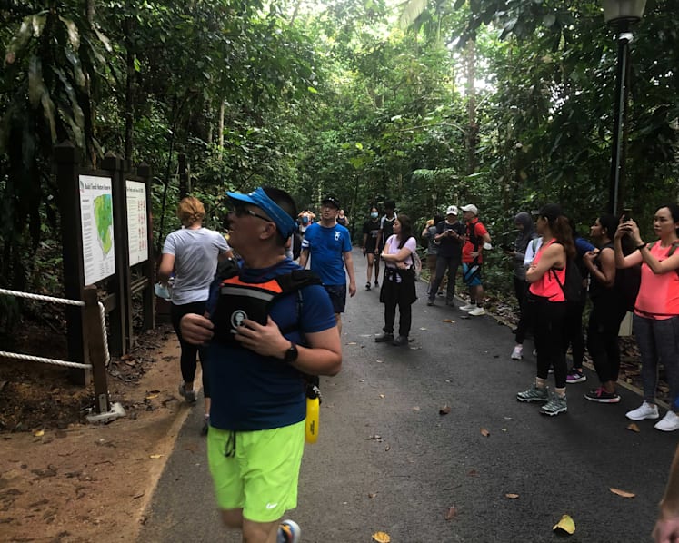 Hiking boom in Singapore as more turn to their backyard to cope with Covid-19 travel restrictions