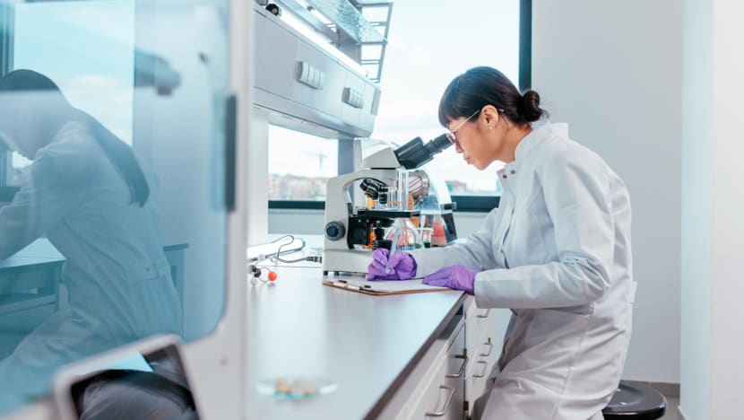 Commentary: NDR 2025 – how traineeships can translate into jobs for fresh graduates