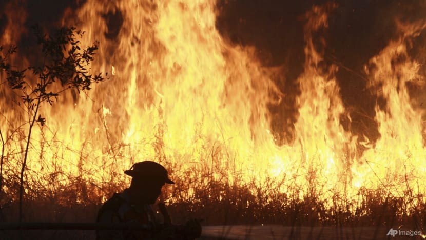 Indonesian police arrest 44 people suspected of starting forest fires Indonesian police arrest 44 people suspected of starting forest fires