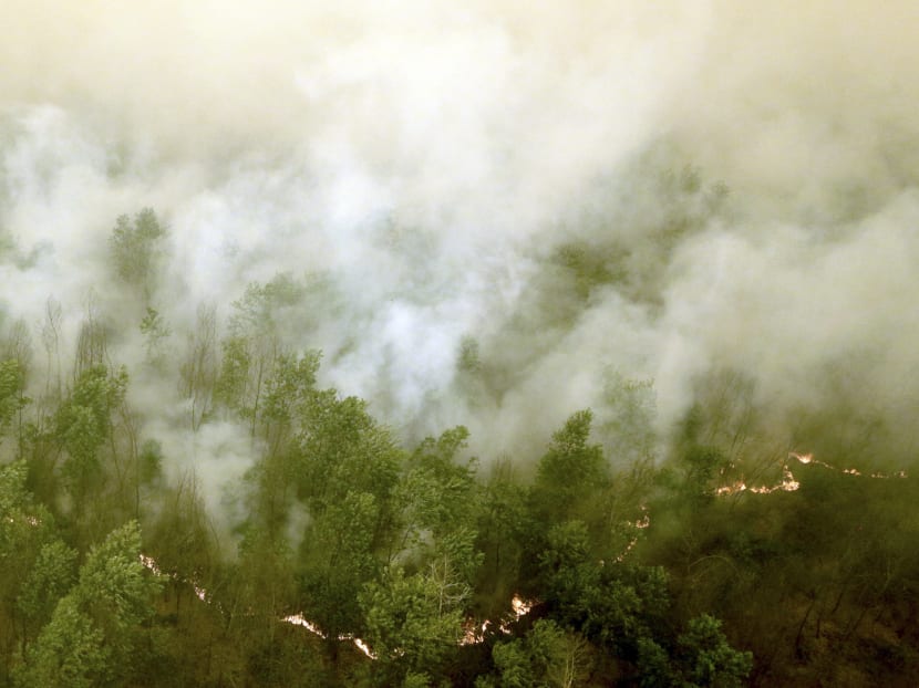 Thick smoke rises as a fire burns in a forest at Ogan Komering Ilir Regency, Indonesia's South Sumatra province Oct 20, 2015. Photo: Reuters Thick smoke rises as a fire burns in a forest at Ogan Komering Ilir Regency, Indonesia's South Sumatra province Oct 20, 2015. Photo: Reuters