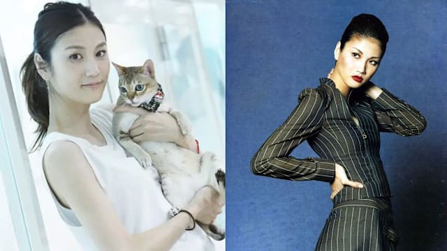 日本资深名模古谷惠放弃药物治疗癌逝　享年47岁