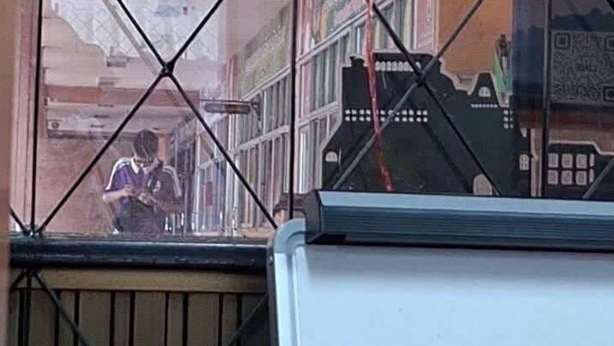 Thai teen kills eight in rampage at home and school before shooting himself