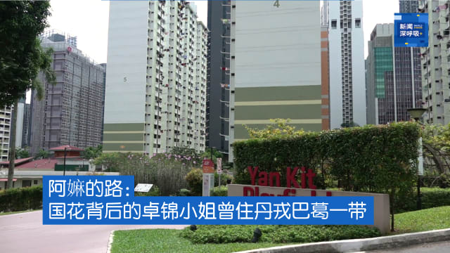 新闻深呼吸+ | 阿嫲的路：国花背后的卓锦小姐曾住丹戎巴葛一带