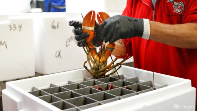US lobster industry braces for Chinese New Year impacted by COVID-19
