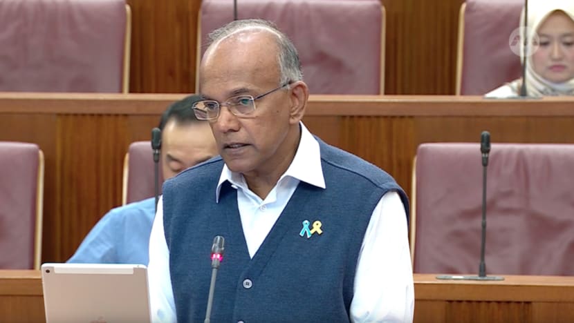 'Politically significant person' designation under foreign interference law must be in public interest: Shanmugam 'Politically significant person' designation under foreign interference law must be in public interest: Shanmugam