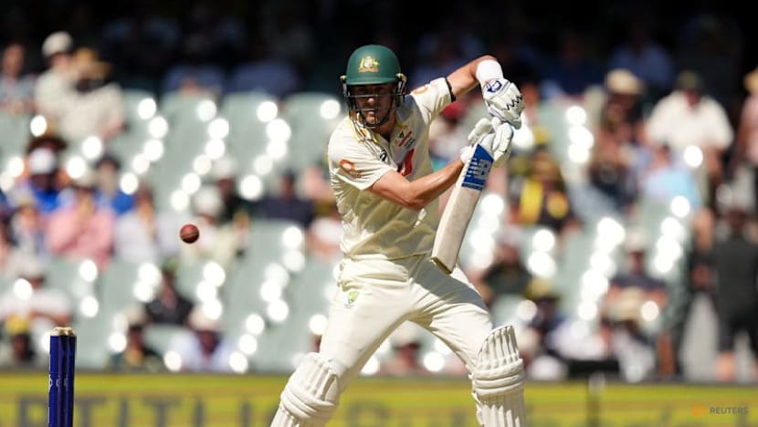 Carey goes from Ashes villain to hero with century in Adelaide heat