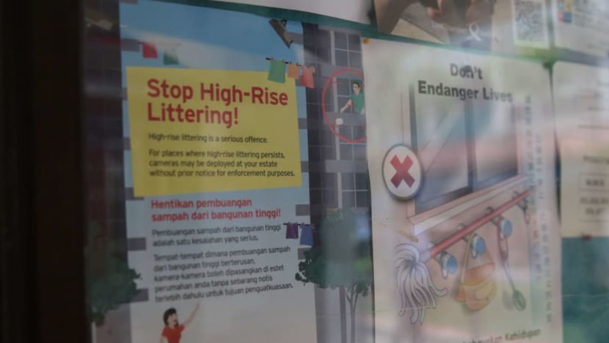 High-rise litter complaints double in last 4 years to 32,000; 54% of  offences involve cigarette butts: MSE