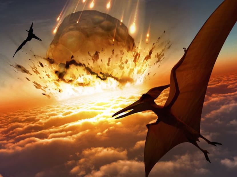 Had the asteroid that hit Earth 66 million years ago struck nearly anywhere else, some dinosaurs — and perhaps other species like this flying reptile — might have survived, according to a new study. Photo: THE NEW YORK TIMES