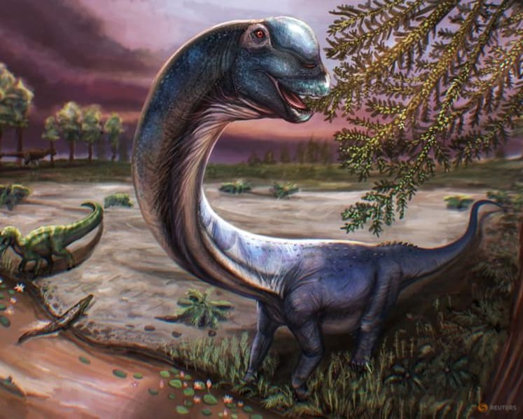 Scientists dig up Southeast Asia's largest dinosaur in Thailand