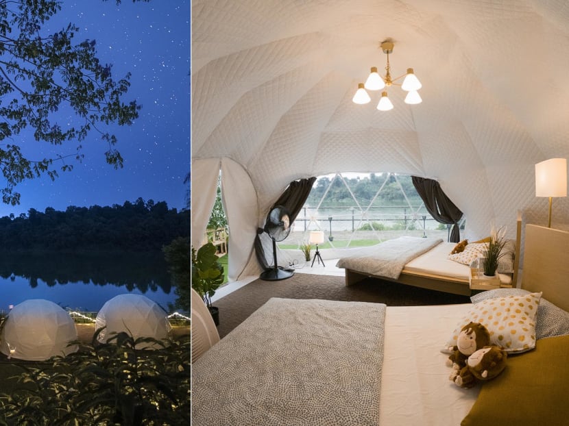 Fancy going on a staycation at Singapore Zoo in air-con tents? Limited tents available on 5 days only