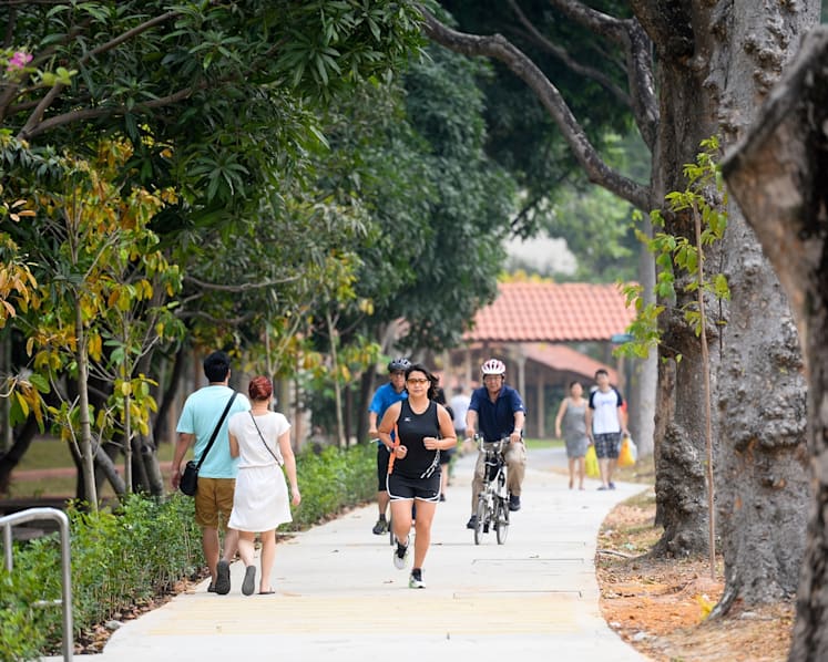 NParks launches new 36km park connector