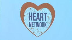 Related article image