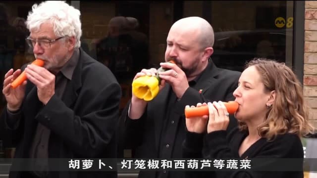 伦敦管乐团将蔬菜制成乐器演奏音乐