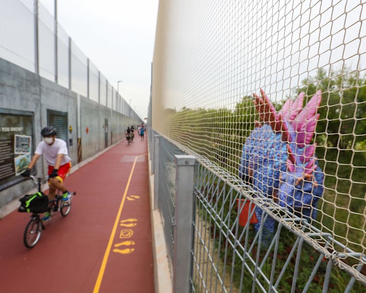 Jurassic Mile’s red paths confusing for cyclists