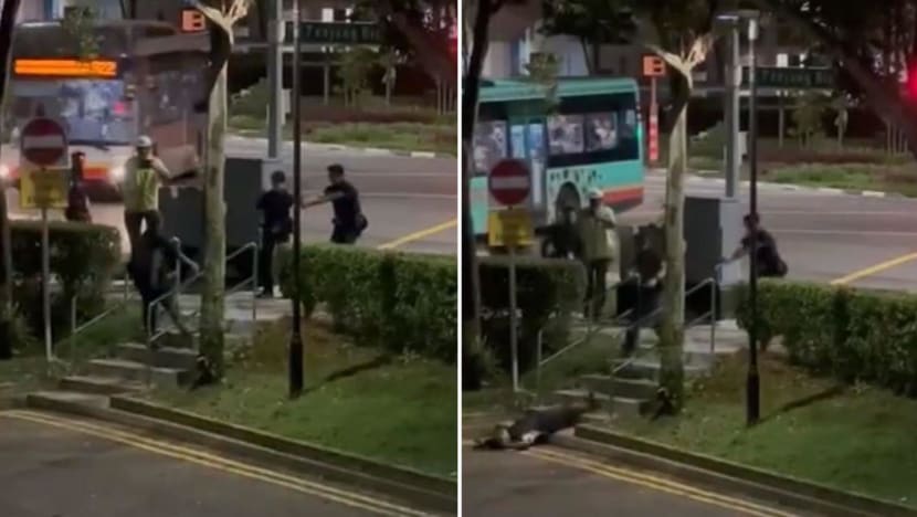 Man tasered, arrested after allegedly assaulting auxiliary police officer with metal bar