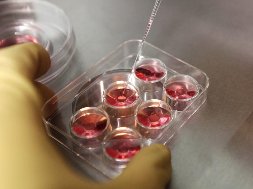 An employee demonstrates the process to extract eggs at a fertility clinic in northern Taiwan.