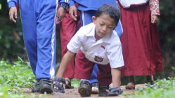 Related article image