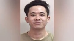 Related article image