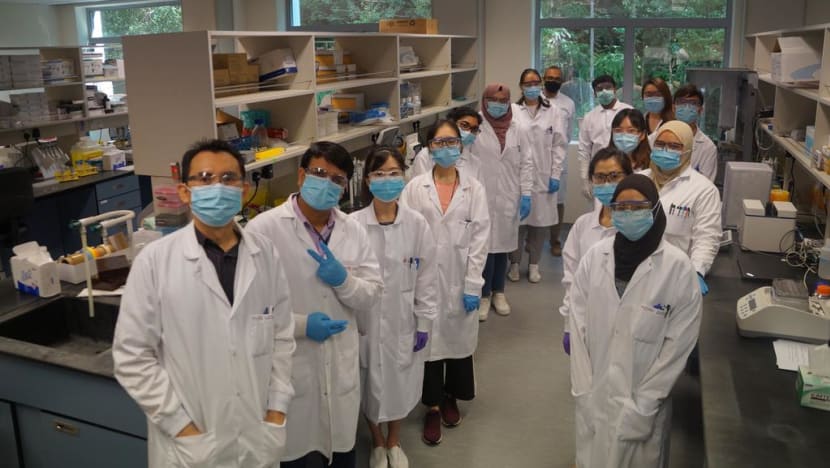 S’pore biotech firm Tychan starts final phase of Covid-19 antibody drug trials