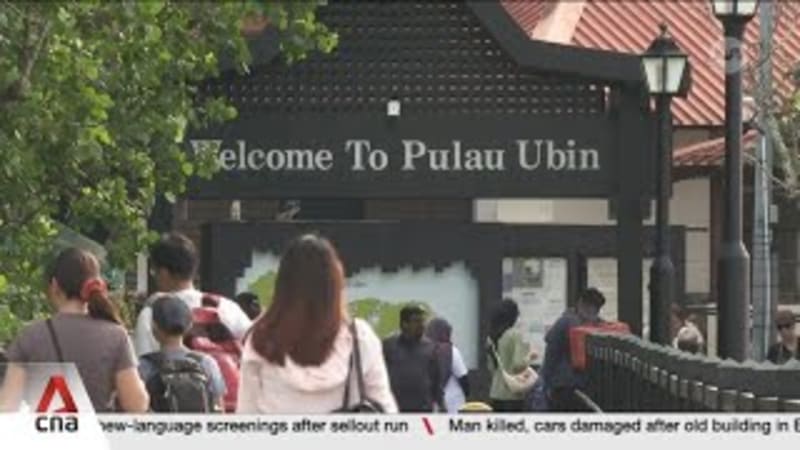 NParks to repurpose 5 kampong houses on Pulau Ubin to strengthen island's heritage 