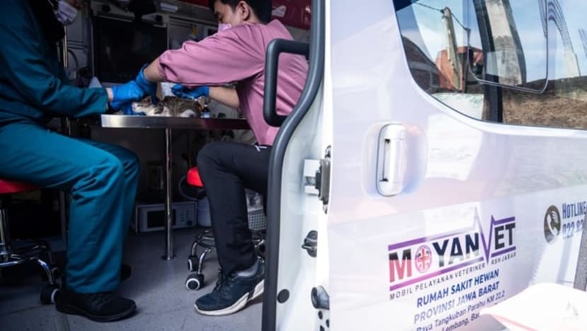 Dokter hewan mobile keliling Jakarta, solusi praktis untuk pemilik hewan peliharaan?