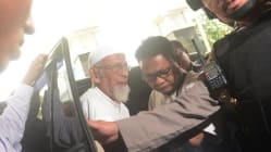 Related article image