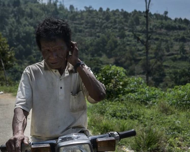 Orang Asli land under threat in Pahang as Musang King plantations grow