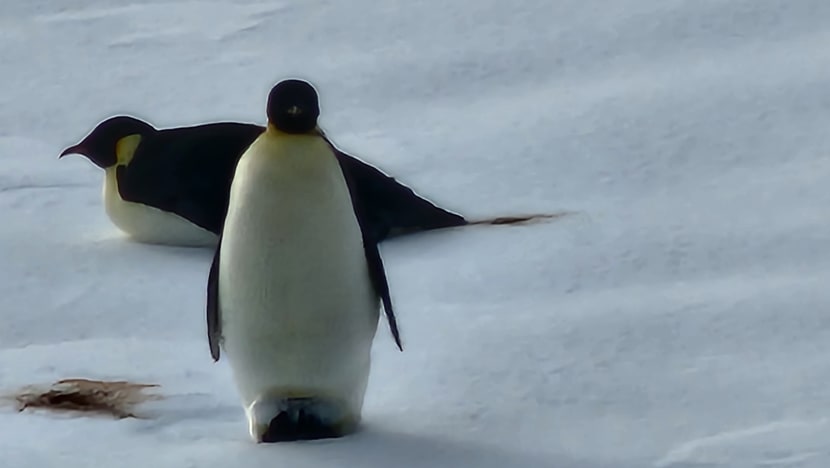 Related article image