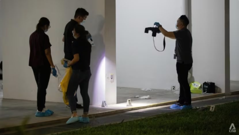 Lelaki 50 tahun didakwa kerana bunuh lelaki 41 tahun di blok HDB Clementi Lelaki 50 tahun didakwa kerana bunuh lelaki 41 tahun di blok HDB Clementi