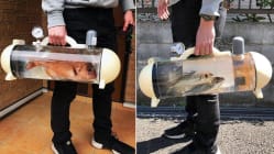 Related article image