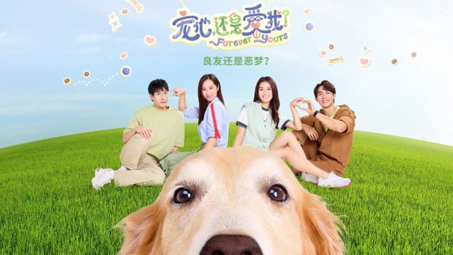 宠他，还是爱我?
