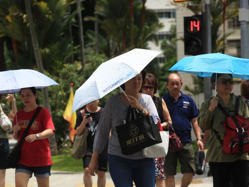 The annual mean temperature of 27.9°C in 2018 made it the joint eighth warmest year on record for Singapore, tying with 2004, 2009 and 2014.