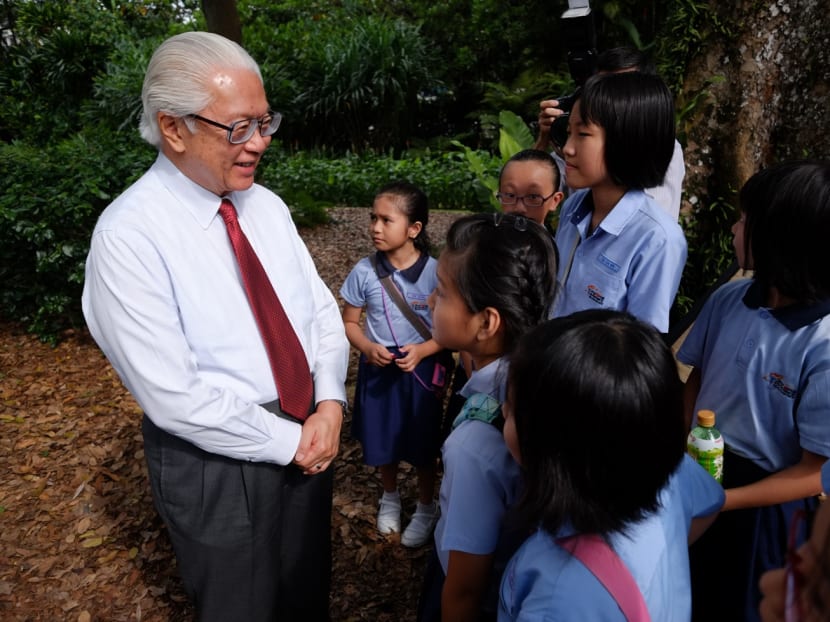 System developed to support iconic Tembusu trees