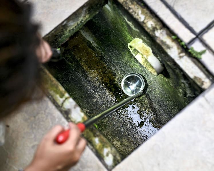 'Fast-growing' dengue cluster detected in Yio Chu Kang, 135 cases so far: NEA
