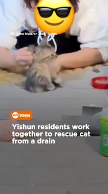 It takes a village (and one plumber) to save a kitten 🐱 #8dayssg #8dayssgtrending #kitten #rescue #yishun 