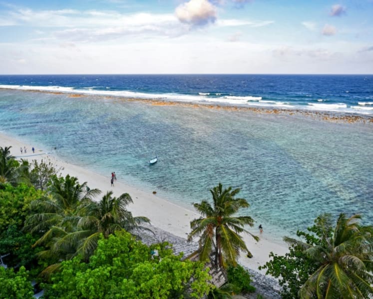 Smaller fish, bleached corals: Maldives hit by several threats from climate change