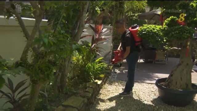 市镇理事会为减少伊蚊数量 试行新灭蚊机和灭蚊技术