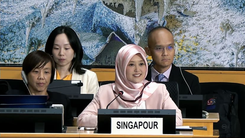 Singapore's criminal justice policies in line with international law, calibrated to national context: MFA on UN members' anti-death penalty calls