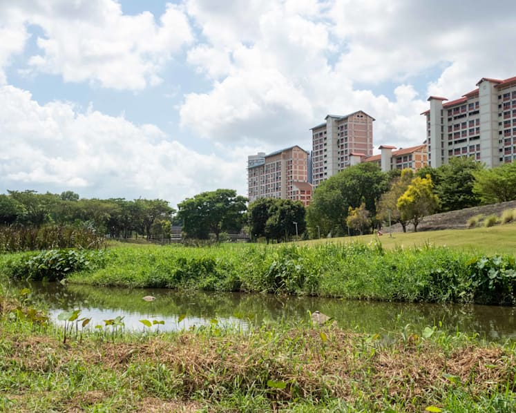 Budget 2022: Carbon tax to go up 5 times to S$25 per tonne in 2024, as Govt aims for net-zero emissions around mid-century
