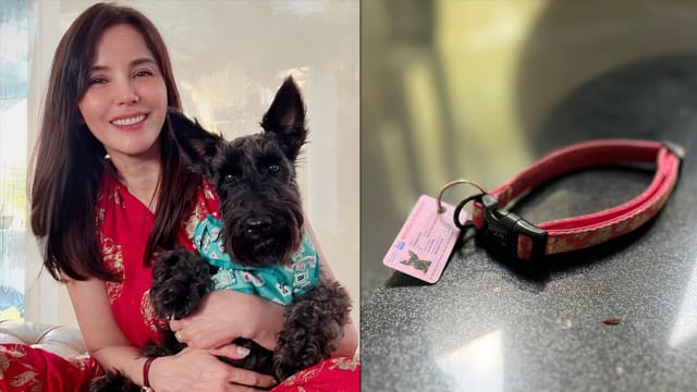 爱犬“黑妞”离世　郑惠玉：一个伙伴走了……