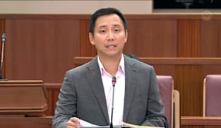 Goh Pei Ming on co-parenting arrangements between foster and biological parents