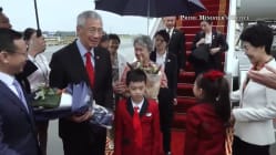 Related article image