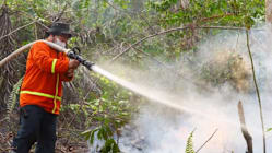 Related article image