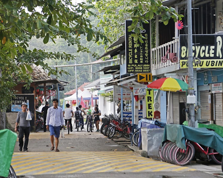 Ubin residents leave deep impression on researchers
