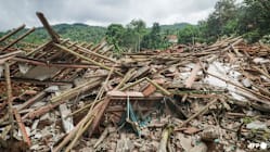 Related article image