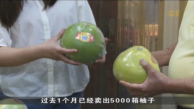 受访者：马来西亚柚子大丰收 低价售卖推动市场买气