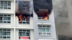 Related article image