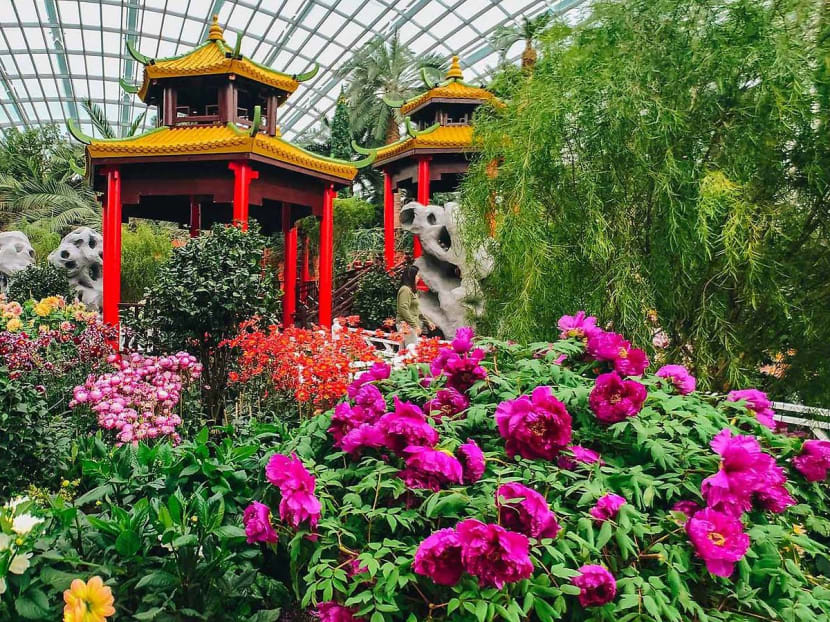 These Places In Singapore Are Open Over Chinese New Year 2019 These Places In Singapore Are Open Over Chinese New Year 2019