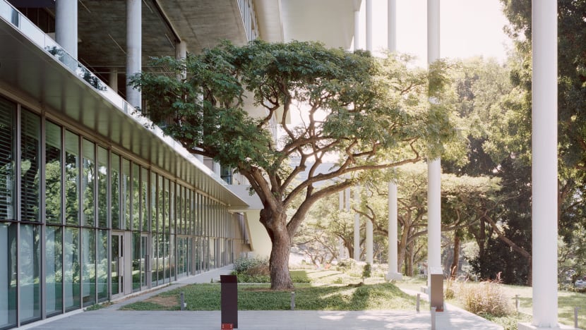 Net-zero buildings: More than design or engineering, but about 'better quality of life'